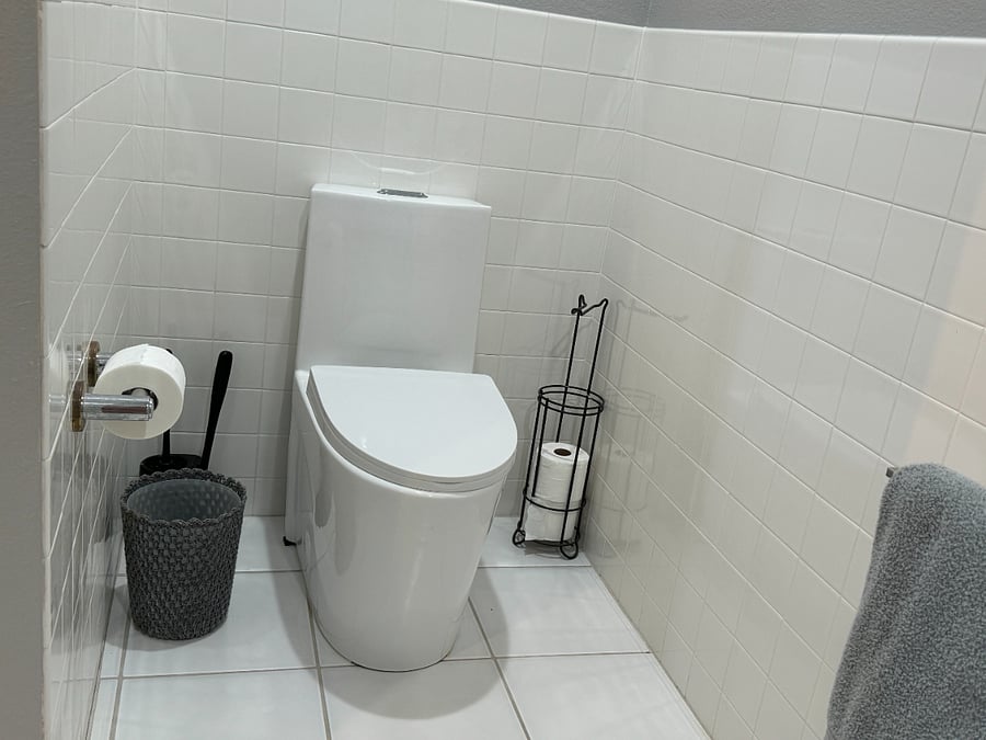 new toilet