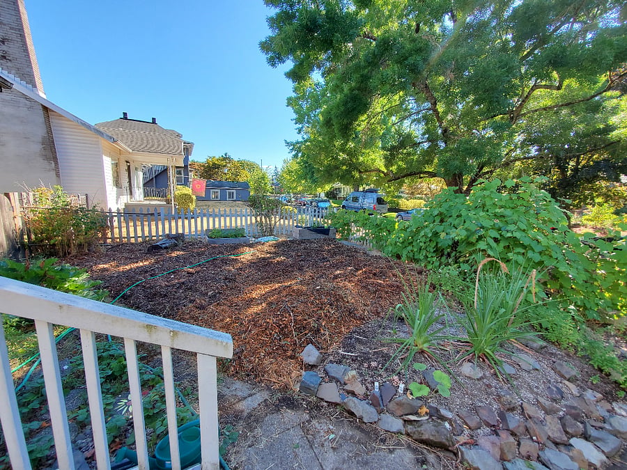 Landscaped front yard