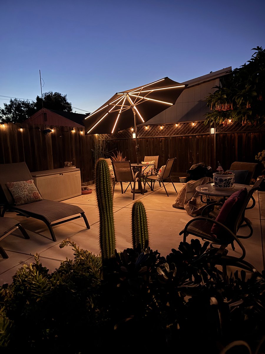 Furnished Finder property 665551_1 photo 18