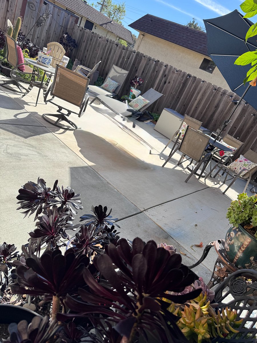 Furnished Finder property 665551_1 photo 17