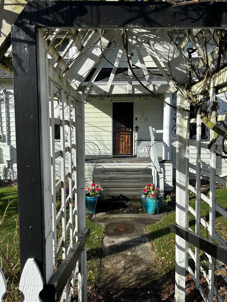 Entry to the house with a very large beautiful wisteria plant that is absolutely gorgeous when in bloom 