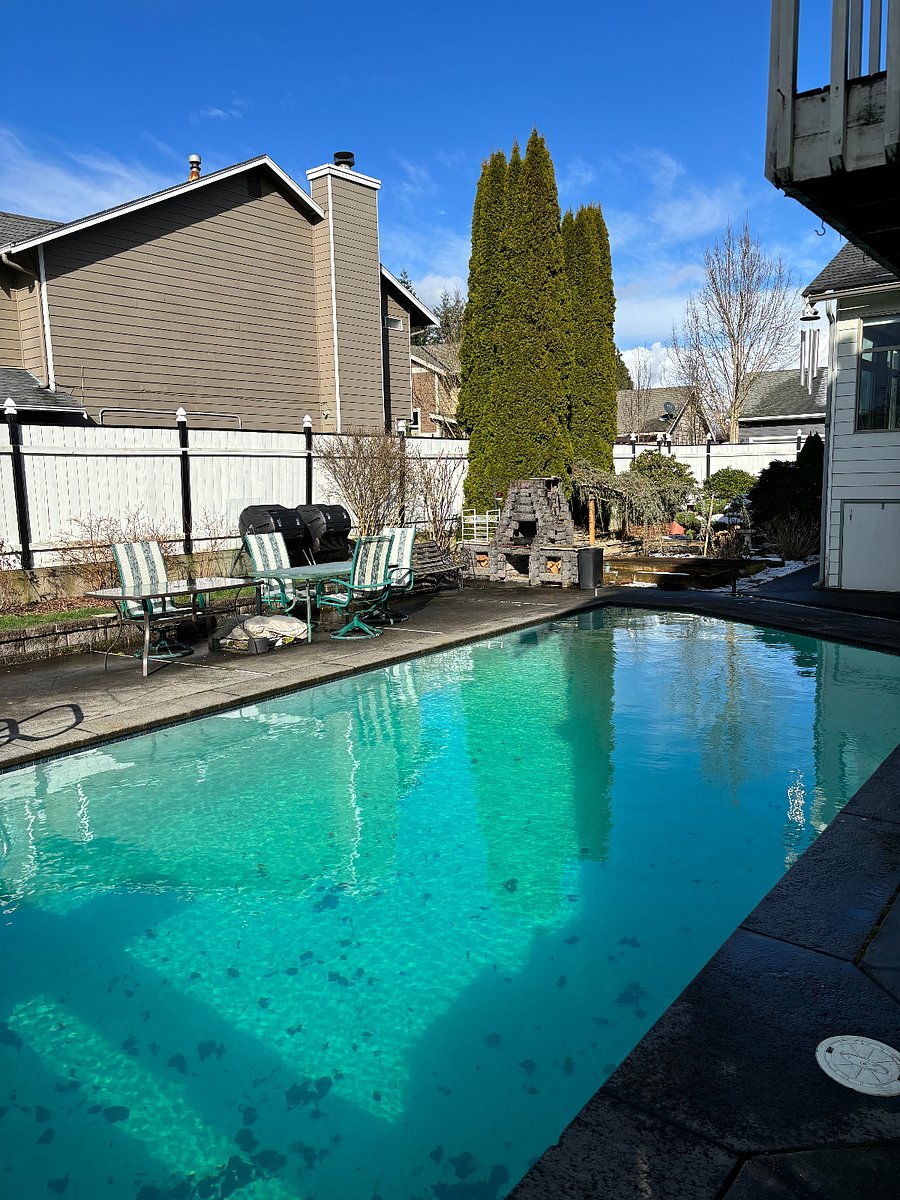 Pool and more of back yard