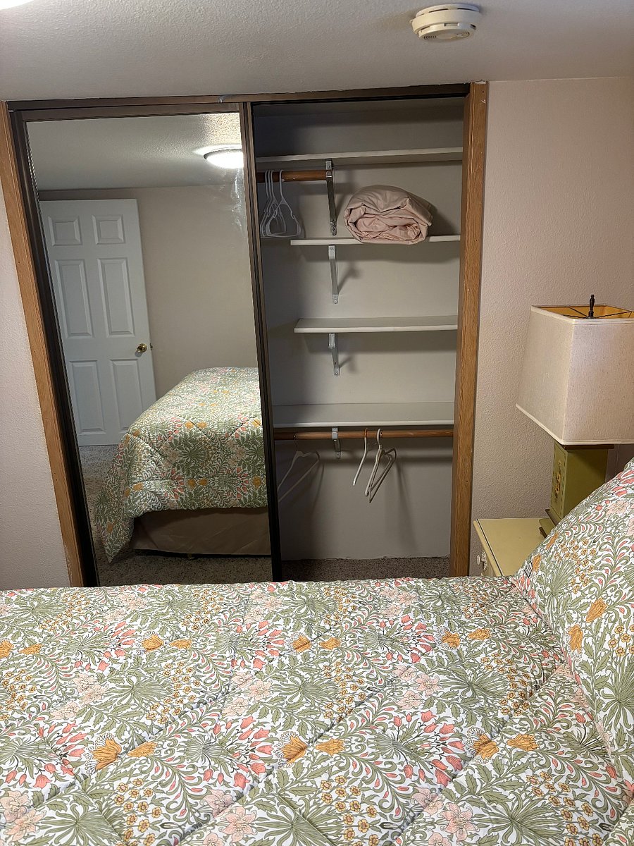 Large mirrored closet with shelving