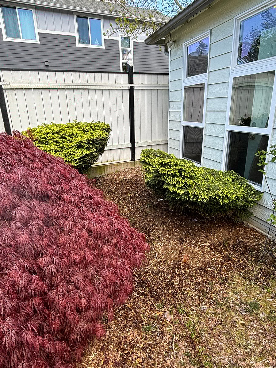 Leading out to the front of house and parking
