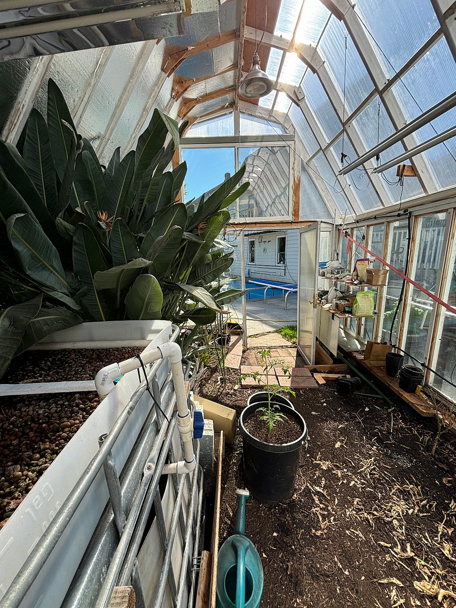 inside greenhouse looking towards pool
