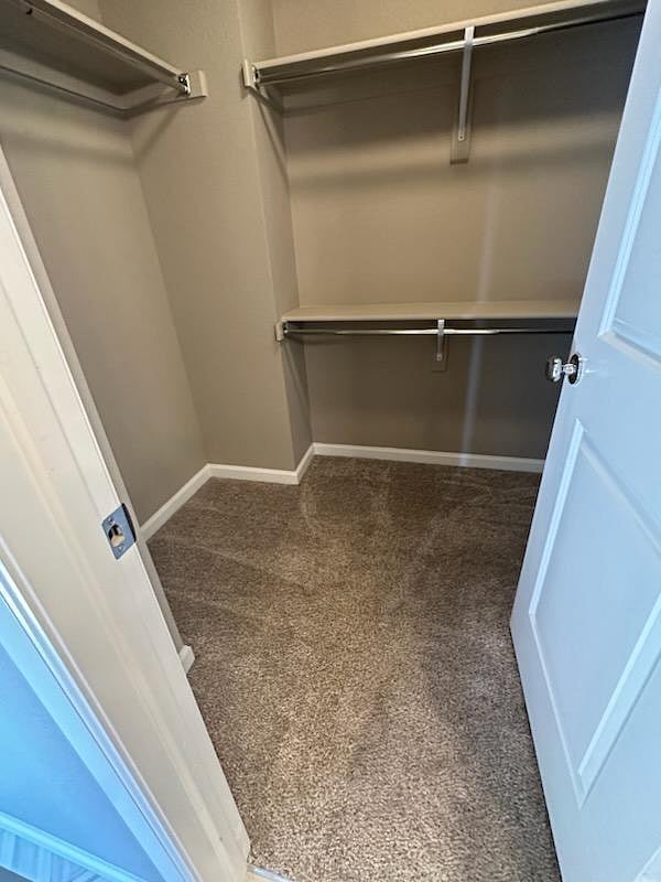 Master walk-in closet