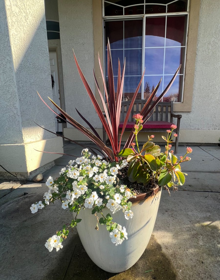 Furnished Finder property 665656_1 photo 33