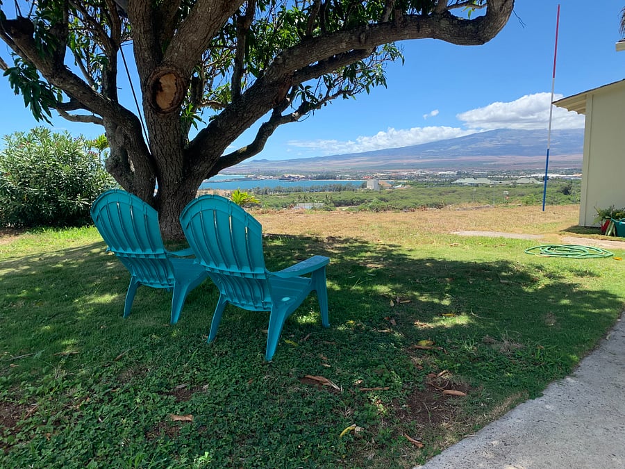 Shade and breezy under the mango tree.