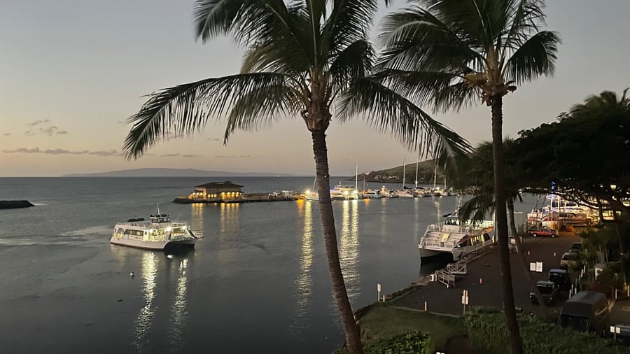 Harbor Nights from lanai.