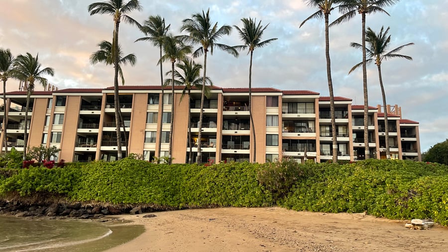 Daytime shot from the baby beach looking back at complex