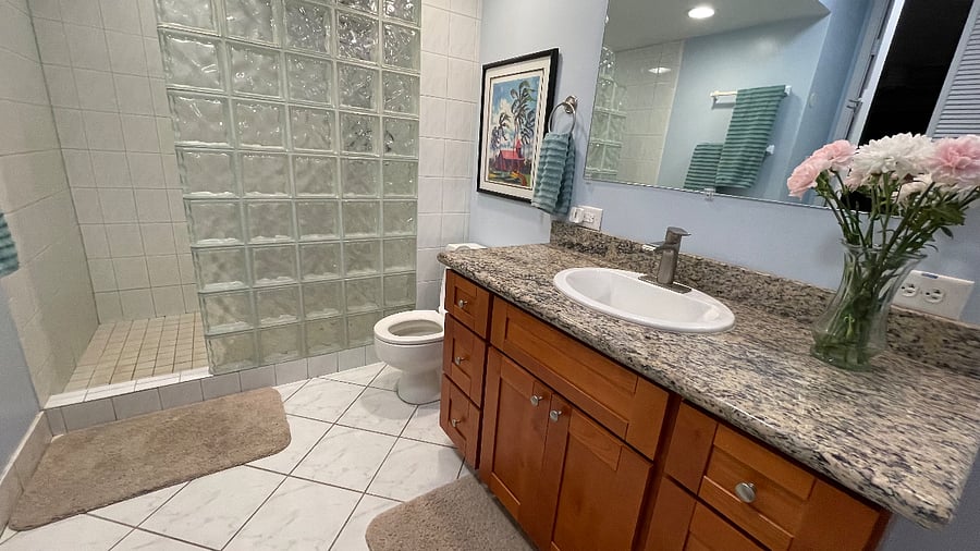 Master/Primary Bathroom.