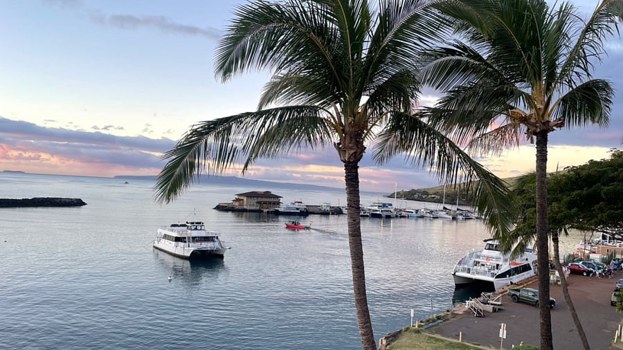 Watch the tour boats load up & take off/return in the harbor from lanai or primary bedroom.