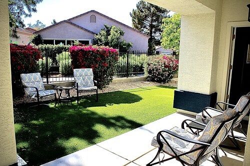 Backyard