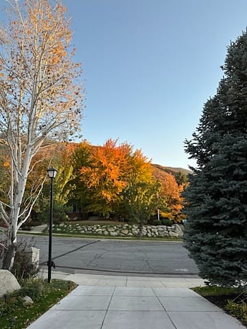 Welcome to the Graham Guest House - Drive way view
