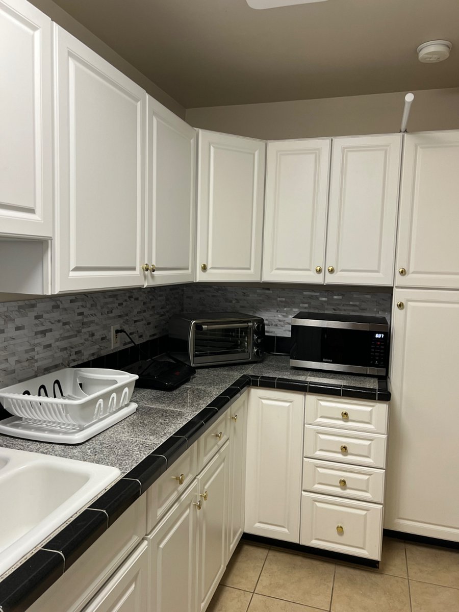 Kitchenette with induction hot plate, toaster oven, convection microwave