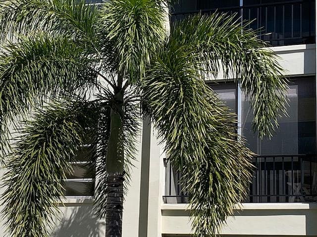 Furnished Finder property 666140_1 photo 15