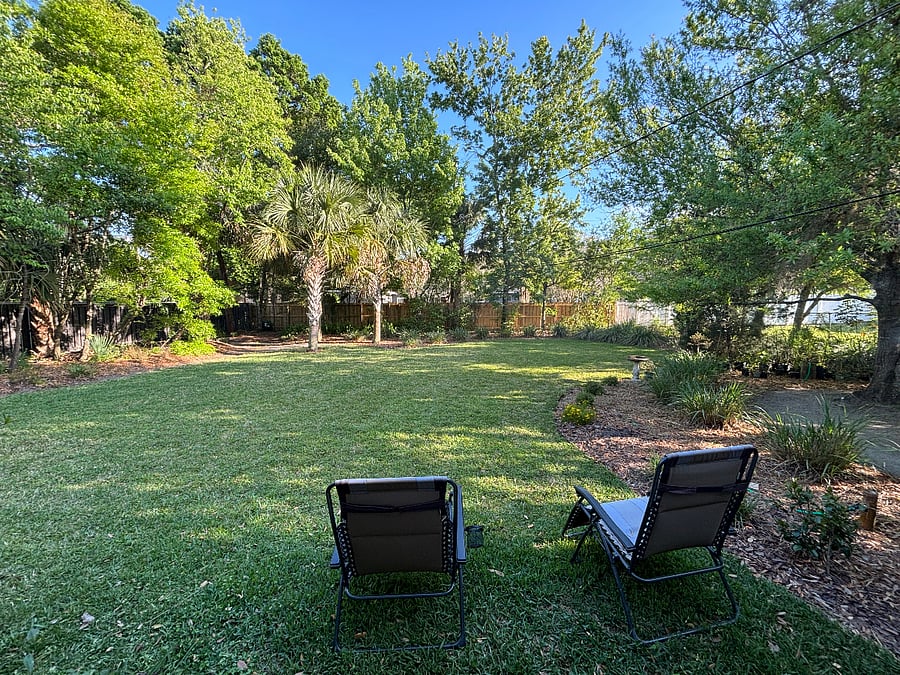 Back yard