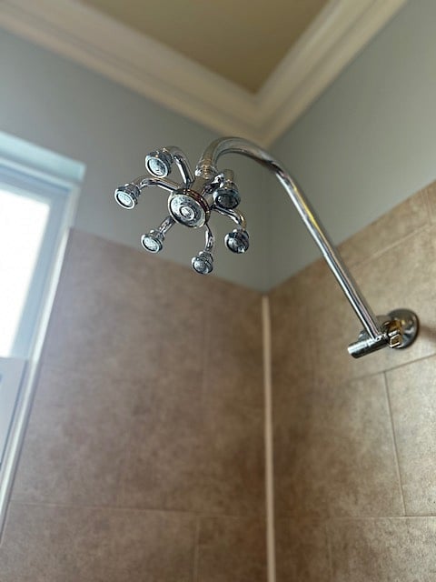 Antique Shower Head Has Great Pressure