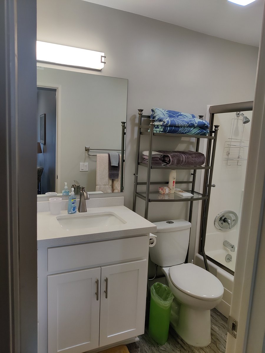 Guest bath and shower