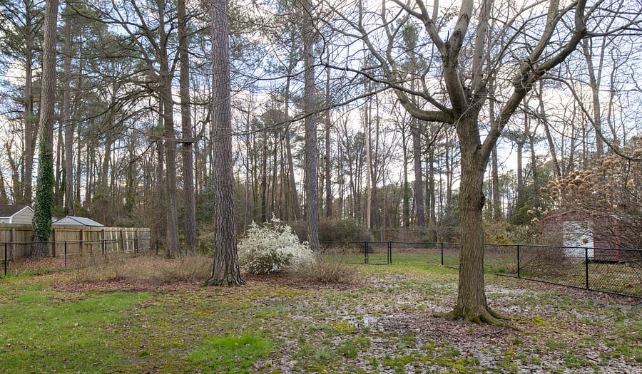 Fenced-in backyard