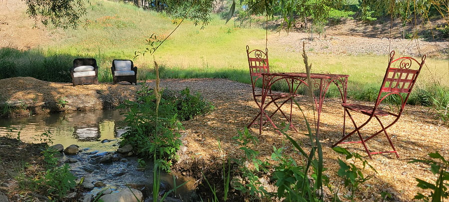 Seasonal pond on the property