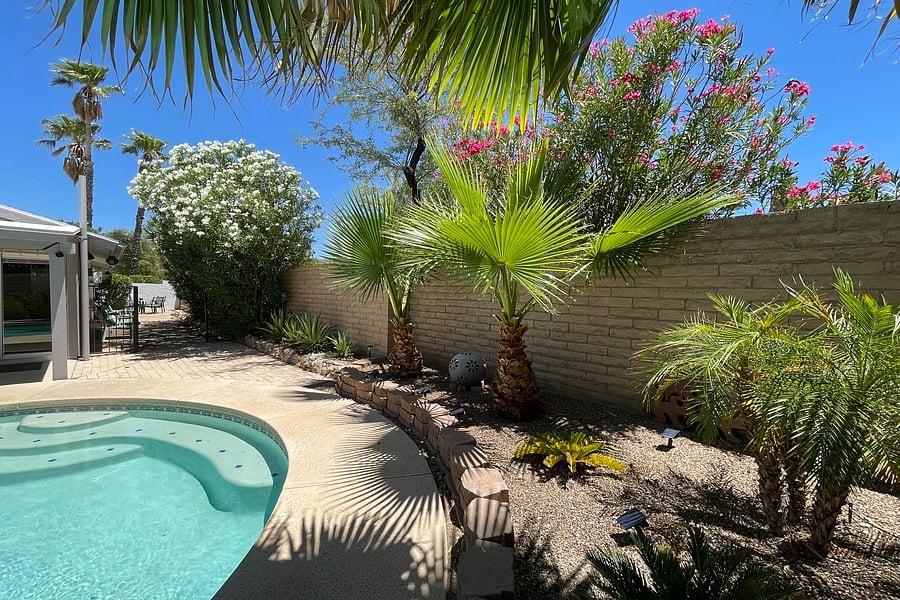 Relaxing private backyard