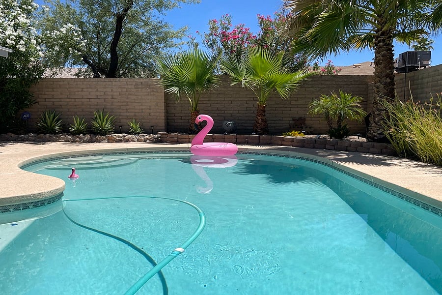 Fred the flamingo