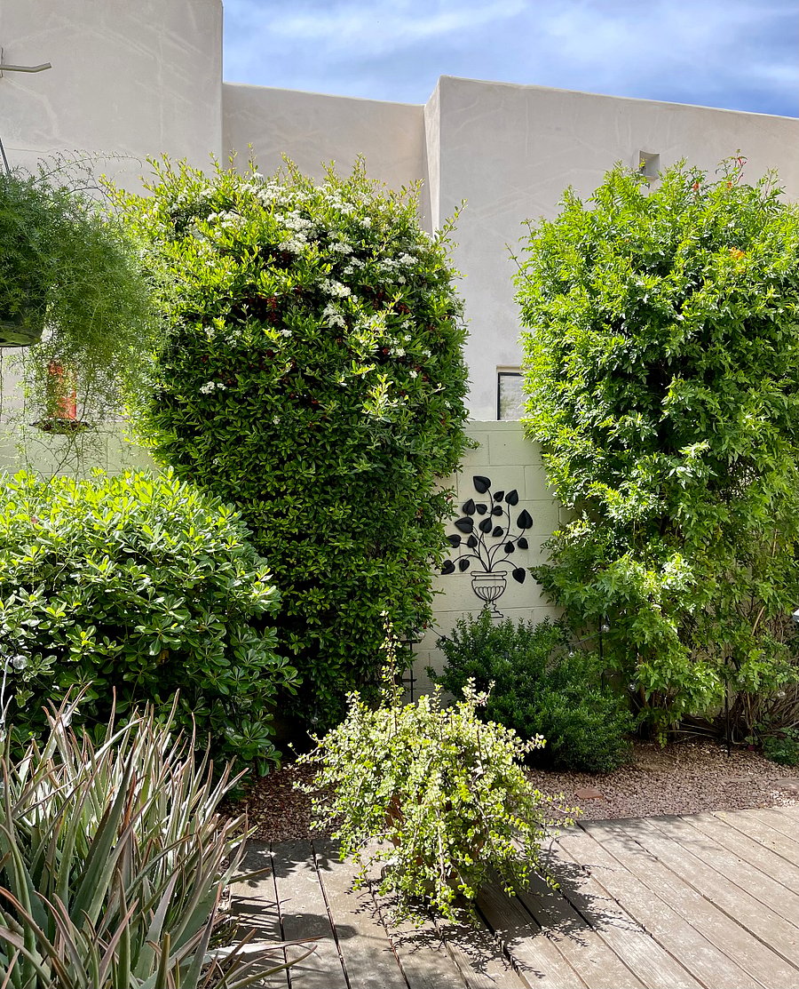 Furnished Finder property 666635_1 photo 23