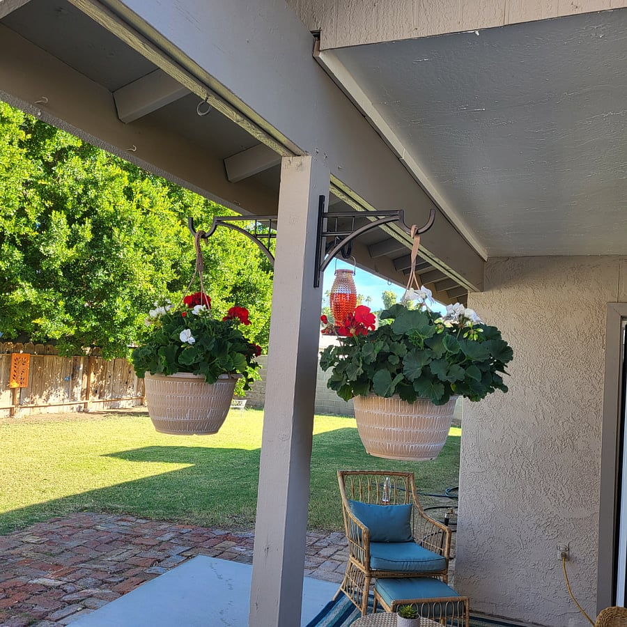Back yard. Owner maintains all yards.