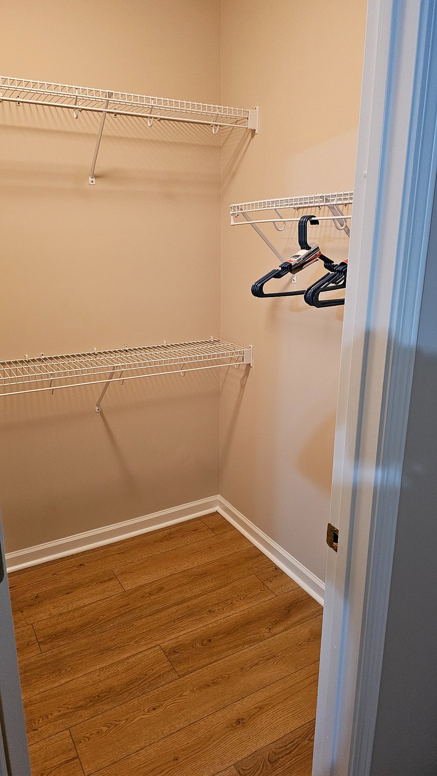 Master Bedroom Closet 2