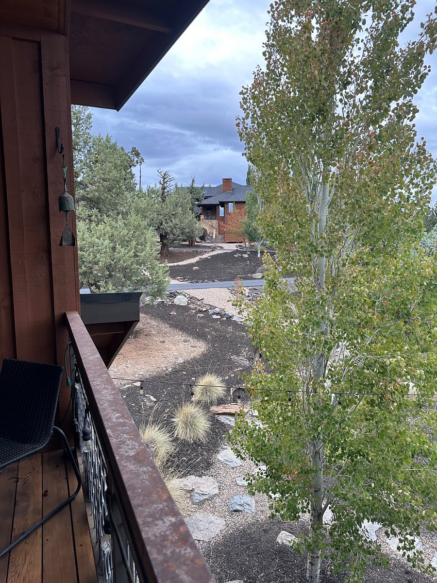 This photo shows that the main house is quite a distance from the Miracle barn and the apartment, so there is complete privacy
