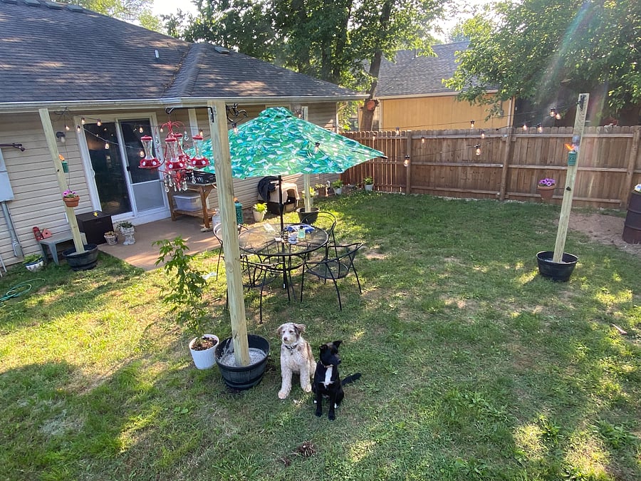 **dogs not included in rental**