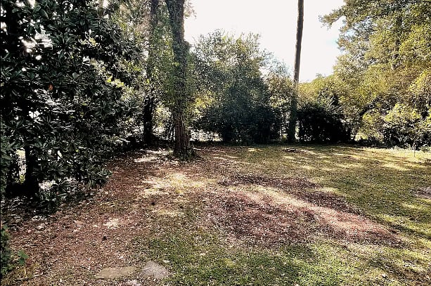 View of large back yard!