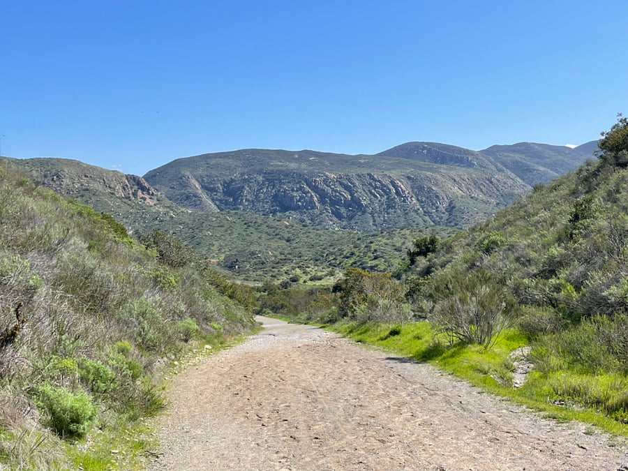 One of the many trails within 1 mile of the house.