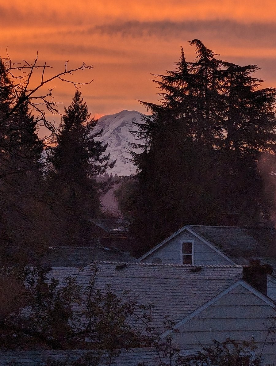 Does the view of the mountain as an exterior amenity? 