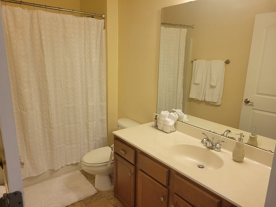 Guest bathroom