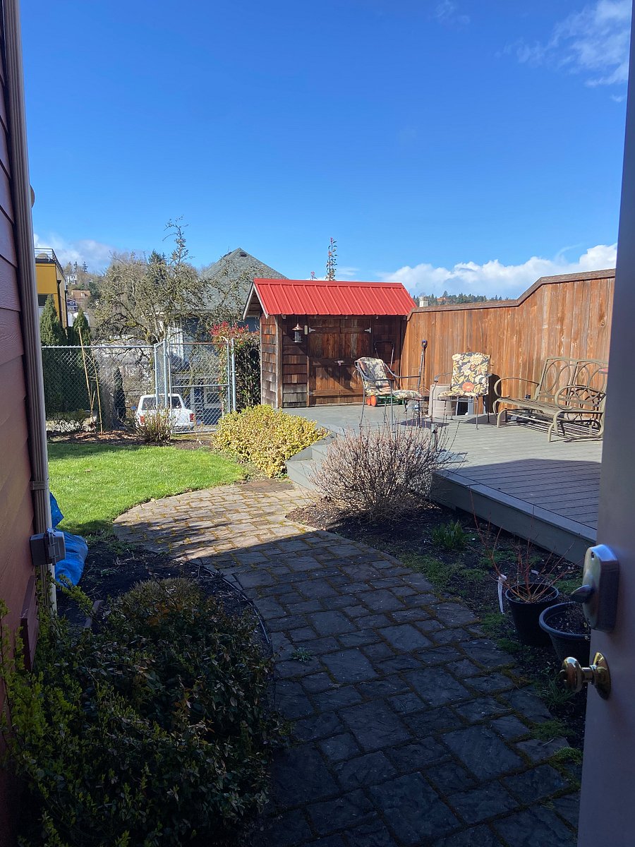 Fall view from your door into the backyard