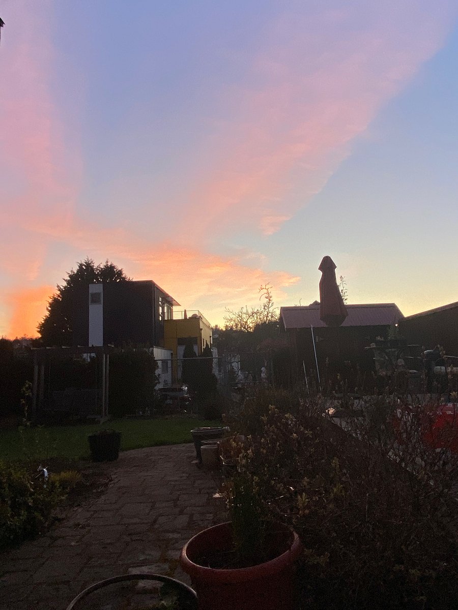 Sunset view across backyard from kitchen window