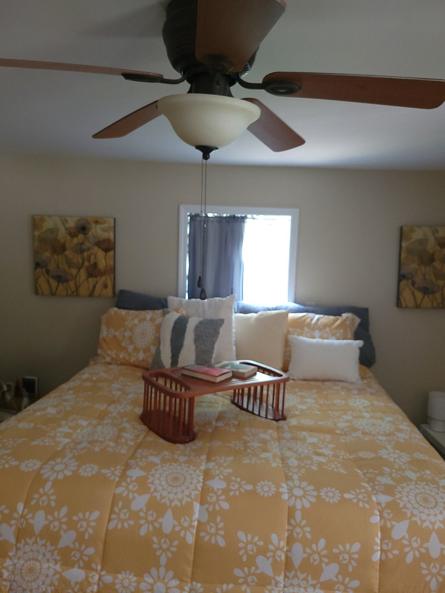 Furnished Finder property 667597_1 photo 6