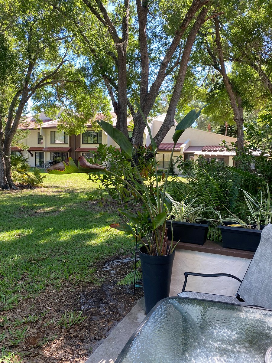 Furnished Finder property 667633_1 photo 13