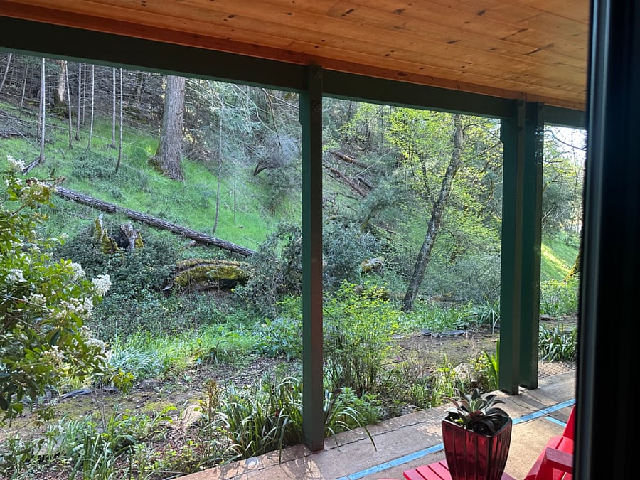 View from the bedroom window.