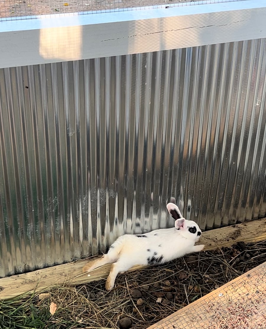 Furnished Finder property 667783_4 photo 18