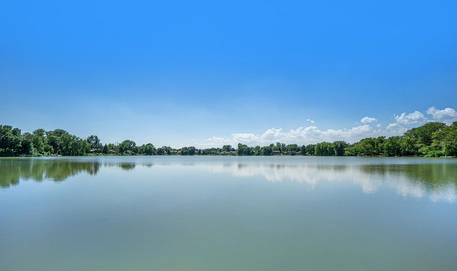 Lake in summer