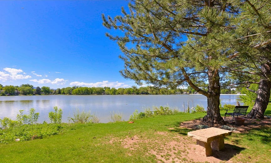 Lake in the summertime