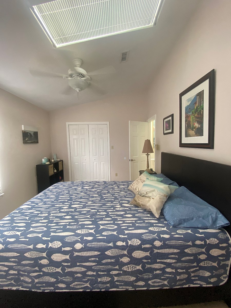 Furnished Finder property 667875_1 photo 21