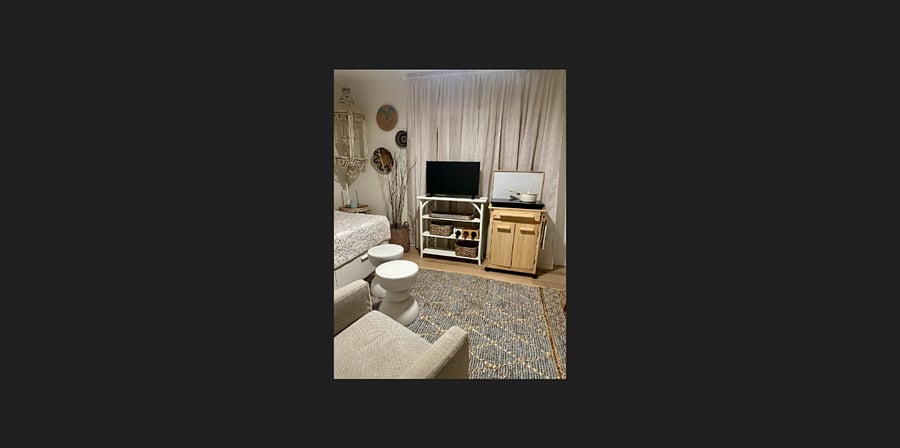 TV and rolling cart with 2 burner induction stove top.