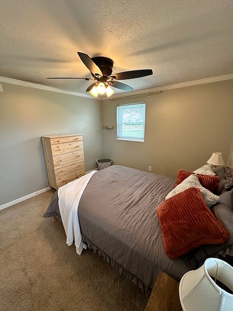 Furnished Finder property 668177_1 photo 12