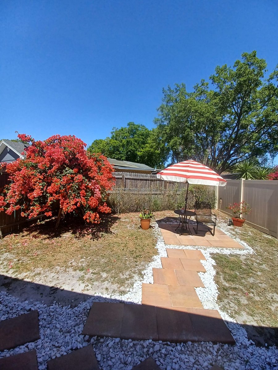 Furnished Finder property 668273_1 photo 13
