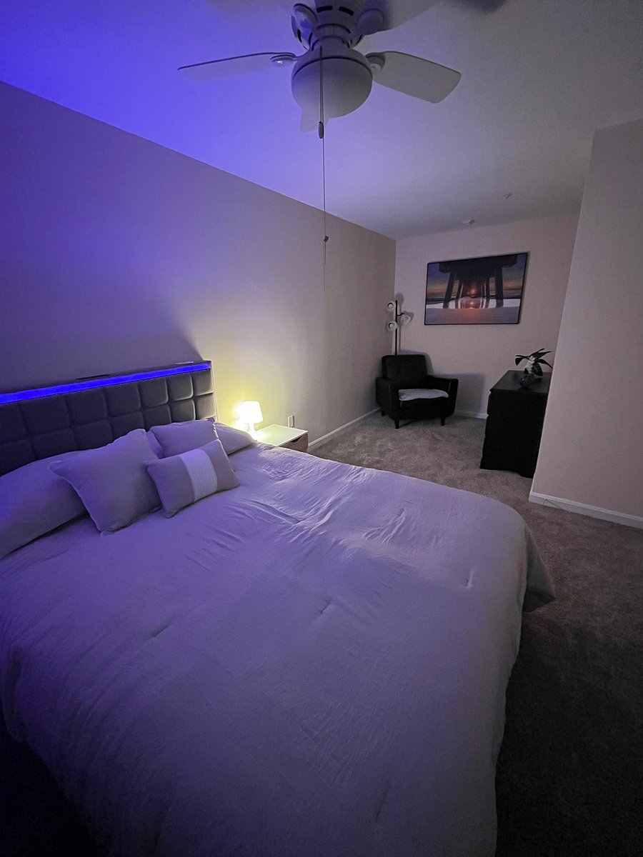 Furnished Finder property 668502_1 photo 8