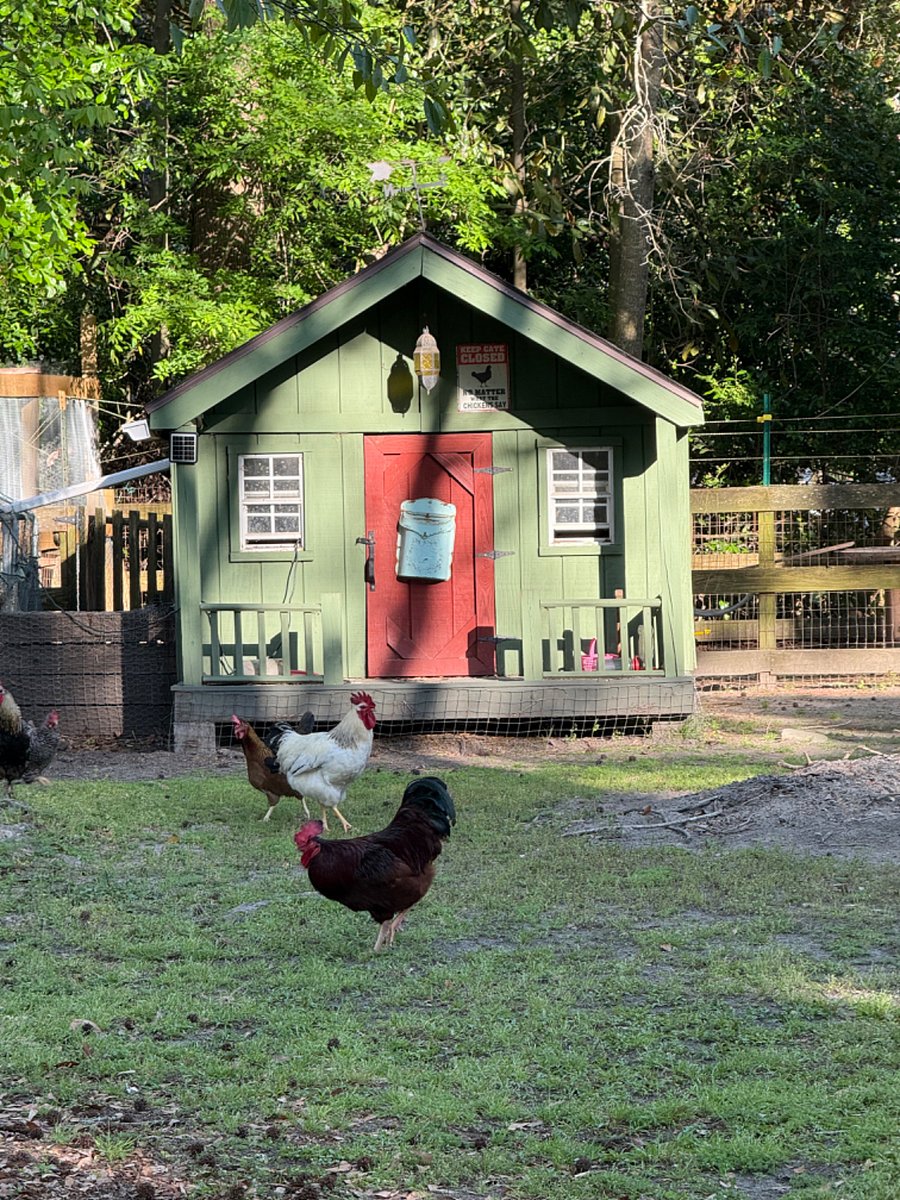 Hen House to match The Southern Roost.